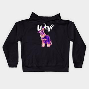 Why alternative hip hop Kids Hoodie